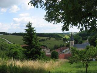 Charmant gîte lorrain avec poêle, jardin et terrasse, proche des sites historiques de Verdun - FR-1-585-4 - 3