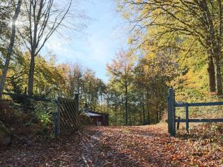 4 person holiday home in SKÅNES-FAGERHULT-By Traum - 4