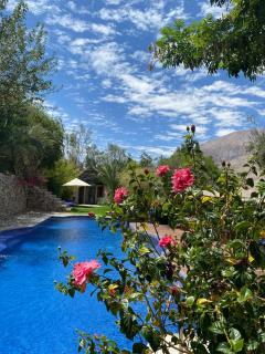 Cabañas Caballieri - Pisco Elqui - 8