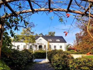 Dwór na Wichrowym Wzgórzu - Przybysławice - 9