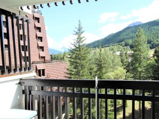Studio Montagne 4 Pers. près Pistes et Commerces - La Salle les Alpes - FR-1-330F-204 - 2