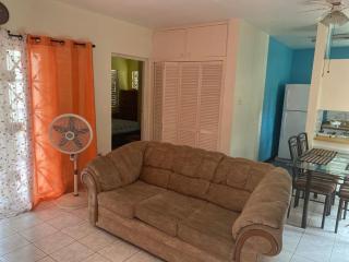 Finest Accommodation Renfrew Place 1 Bedroom Apt # 42 New Kgn 4--12 Renfrew Rd - 5