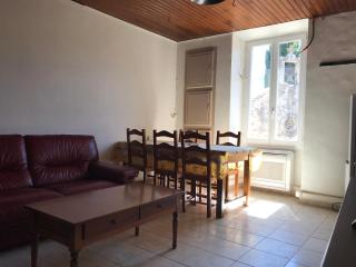 appartement de l'église et du château 2 à 15 personnes - Avène - 2