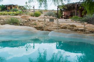 Carmey Avdat Farm - Midreshet Ben Gurion - 7