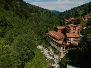 Ayder Hasimoglu Hotel - Ayder Yaylasi - 1