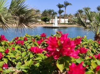 Pharaoh Azur Resort - Hurghada - 5