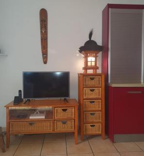Les Sternes 2 - Apt T2 pieds dans l'eau et jardin - Trois Bassins - 8