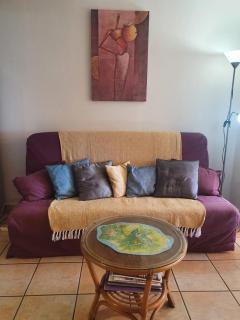 Les Sternes 2 - Apt T2 pieds dans l'eau et jardin - Trois Bassins - 7