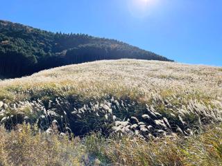 Trip7箱根仙石原温泉ホテル - 3