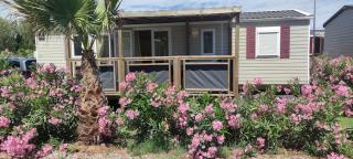 Mobil Home Palmiers 1 - Valras-Plage - 0