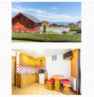 Magnifique studio style montagnard - Thollon - 0