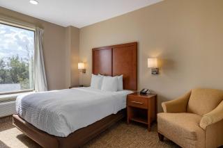 Comfort Suites near Texas Medical Center - NRG Stadium - Houston - 4