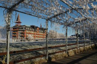 Jugendstilhotel Paxmontana - 8