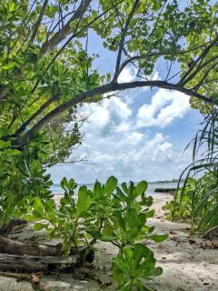 Dhoadhi Retreat - Thulusdhoo - 2