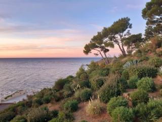 Bandolpiedanleau - Bandol - 8