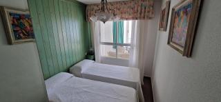 El Olivar - Benidorm - 2