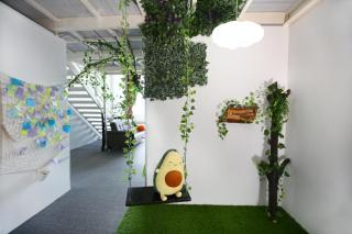 Private Forest Camp - Cinema, Hammock, Swing at CEO Penang - 8