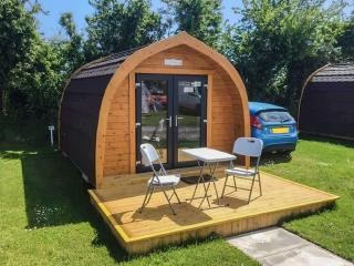 Buttercup - Uk41387 - Brixham - 9