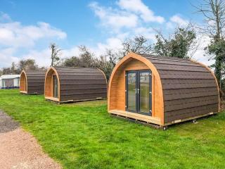Buttercup - Uk41387 - Brixham - 8
