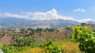 Finca Los Pinos Cómpeta by Ruralidays - 7