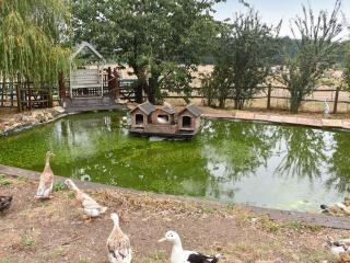 South Wing Coldharbour Park Farm - Rake - 6