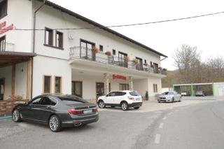 PENSIUNE RESTAURANT LIANA - Mehadia - 1