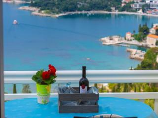 Apartments Villa Soleil - Mlini - 2