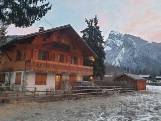 Appartement calme près du lac avec jardin, terrasse, parking et WiFi - FR-1-624-45 - Samoëns - 6