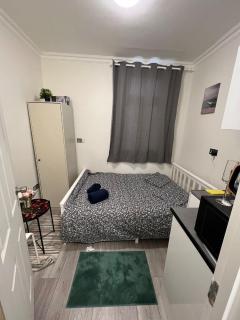 Lovely apartment close to Acton central station - London - 9