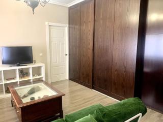 TIGER wifi y garaje - 8