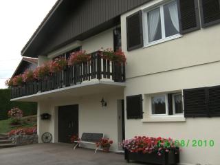 Chez Vivi et Jean Pierre Maison 8 à 9 personnes au calme vue montagne WIFI - 9