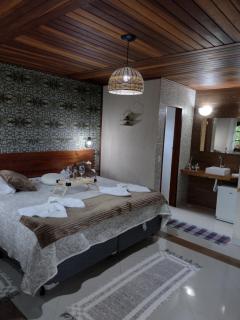 Chale Disco de Arado - 1