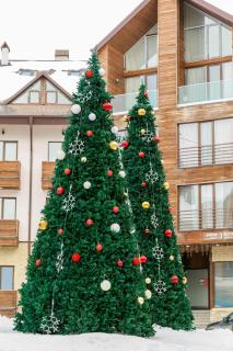 Travel to New Gudauri Loft 1 Apartment 117 - 4