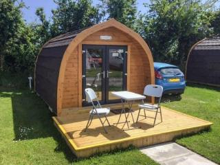 Lavender - Uk41385 - Brixham - 9