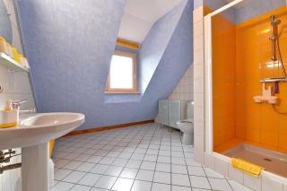 S'Harzala Jaune - Bergheim - 2
