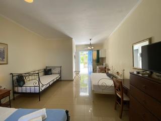 Pantazis Studios in Agios Nikitas - Agios Nikitas - 8