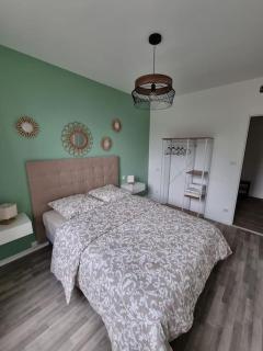 Appartement Jungle- hypercentre -Charleville - 6