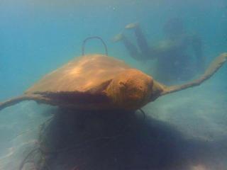 Hotel Punta Leona - 4