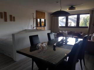 COZY FREEDOM Snow Bike Hike Enjoy 200MBit - Winterberg - 4