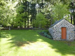 Maison en forêt avec terrasse, jeux pour enfants et cheminée, près du Pic du Lizieux et du Lac bleu - FR-1-582-235 - 8