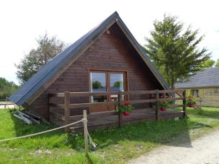 Chalet familial près de Vichy, terrasse, animaux acceptés - FR-1-489-274 - 8