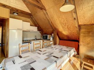 Chalet cosy 10 pers, terrasse sud, park, à 50m des pistes et commerces - FR-1-416-10 - La Toussuire - 9
