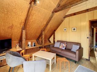 Chalet cosy 10 pers, terrasse sud, park, à 50m des pistes et commerces - FR-1-416-10 - La Toussuire - 6