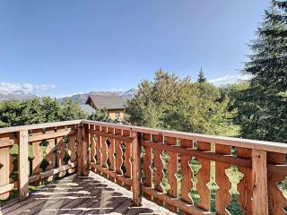 Chalet cosy 10 pers, terrasse sud, park, à 50m des pistes et commerces - FR-1-416-10 - La Toussuire - 5