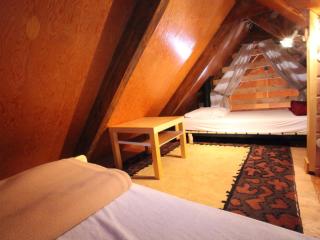Chalet cosy 10 pers, terrasse sud, park, à 50m des pistes et commerces - FR-1-416-10 - La Toussuire - 4