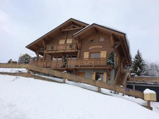 Chalet duplex 150 m², 12 pers, 6 ch, sauna, terrasse, à 50m des pistes - Fontcouverte-la-Toussuire - FR-1-416-23 - 6