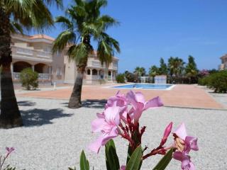 Vacaciones cerca del mar: piscina, mascotas, playa para perros y wifi gratis - ES-184-49 - Riumar - 7