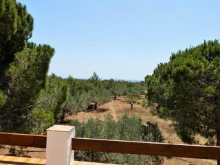 Casa cerca del mar con piscina privada, wifi, admite mascotas, cerca de playa para perros - ES-184-29 - L'Ametlla de Mar - 7