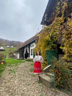 Saschiz 130/Lodging and Glamping - Saschiz - 4