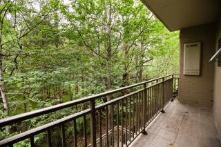 Budget Bluegum Apartments Jesmond - 4